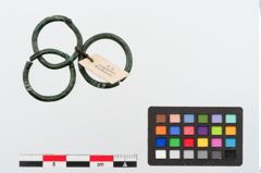 Foto von Bronzering (NHMW-PRAE-024356)